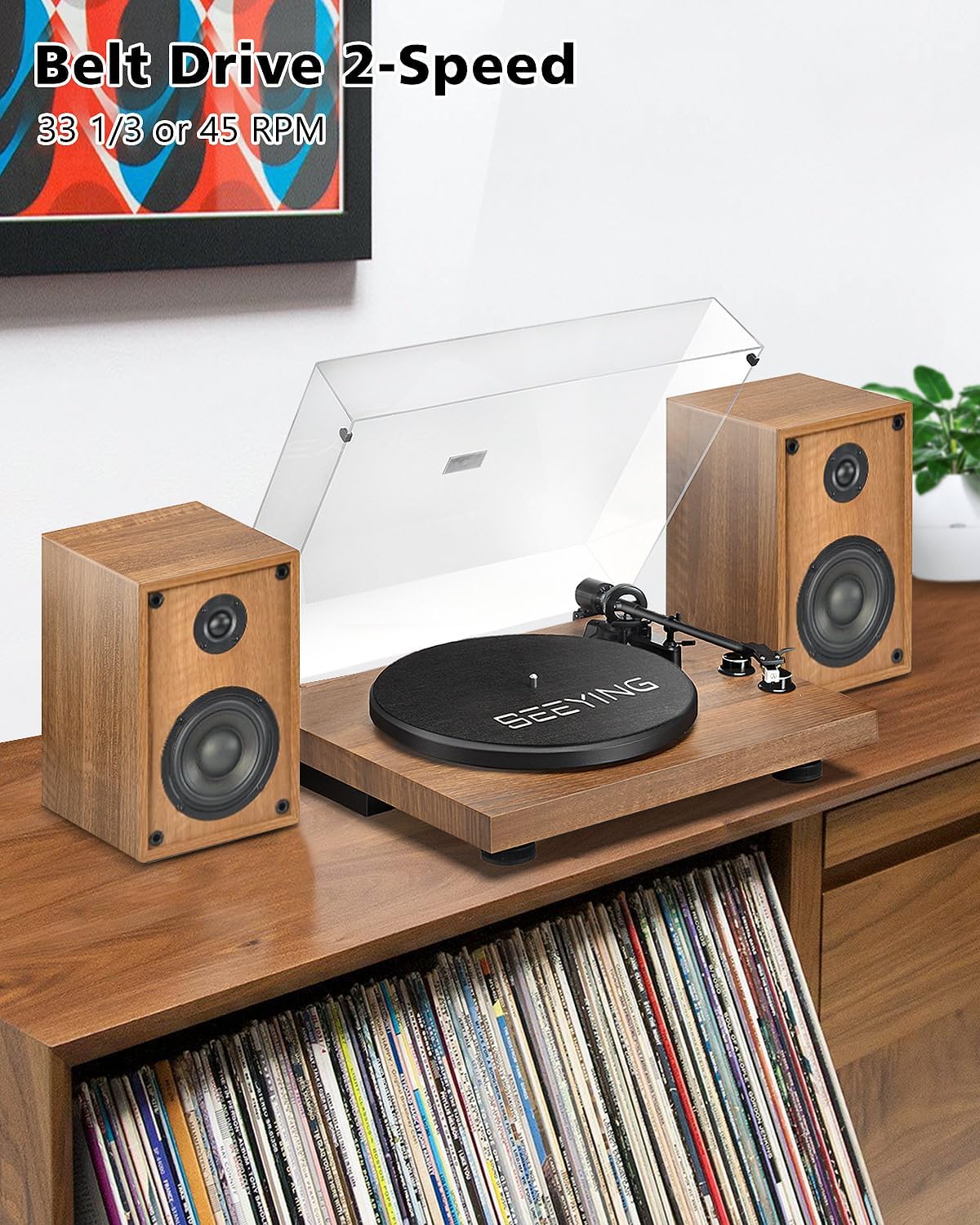Vinyl Record Player with 36W Stereo Bookshelf Speakers SY101